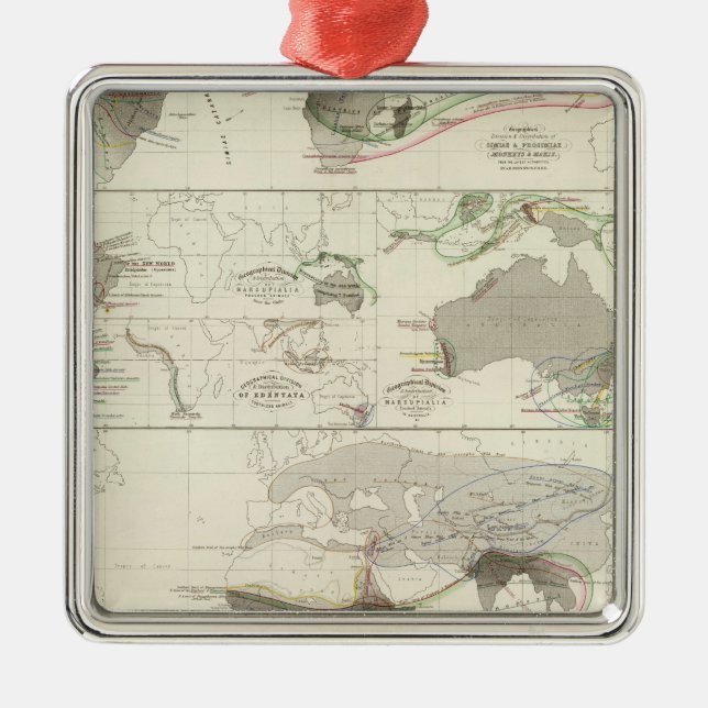 Zoological geography metal tree decoration (Front)