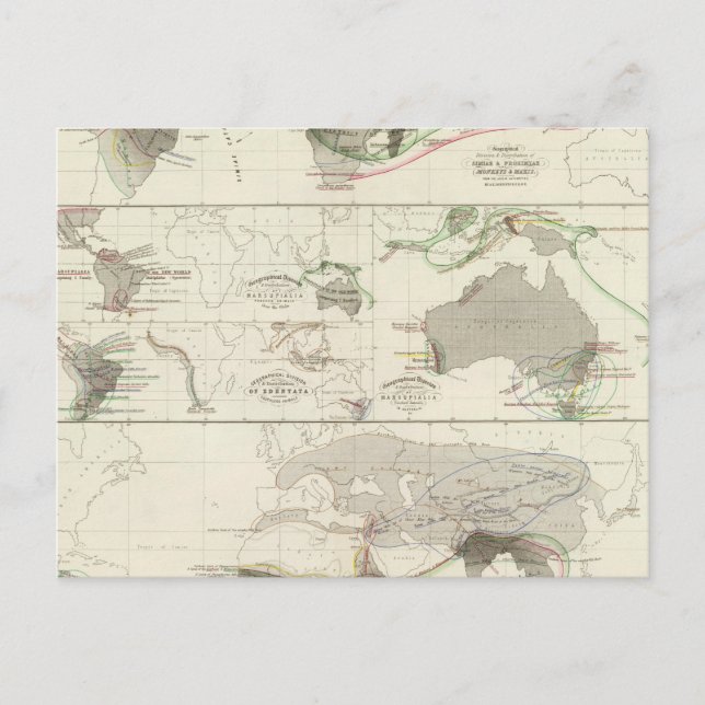 Zoological geography postcard (Front)