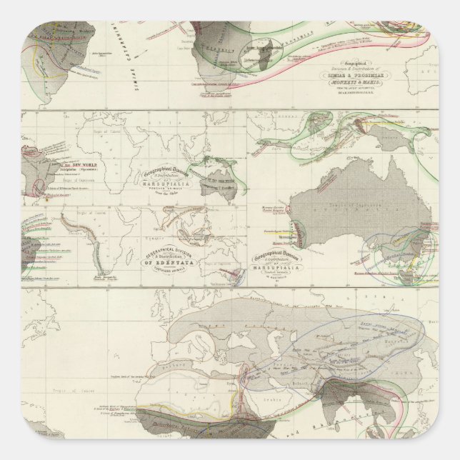 Zoological geography square sticker (Front)
