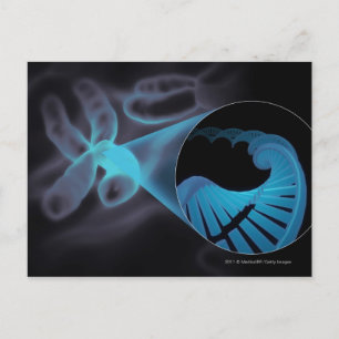Zoom in of a DNA strand in a chromosome Postcard