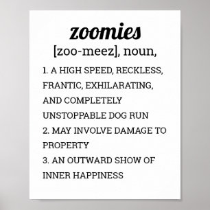 ZOOMIES DEFINITION POSTER