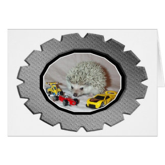Zoomin' Hedgehog