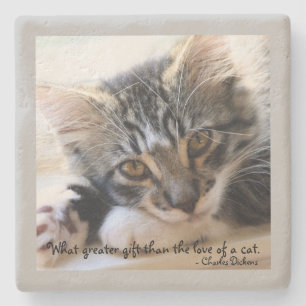 Zorro Kitten By the Window Stone Gray Coaster