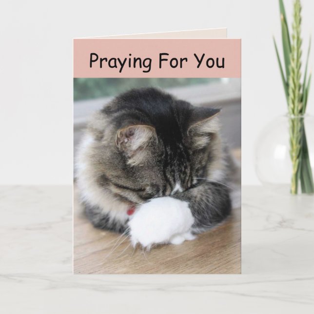 Zorro Kitty Praying For You Card (Front)
