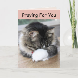 Zorro Kitty Praying For You Card