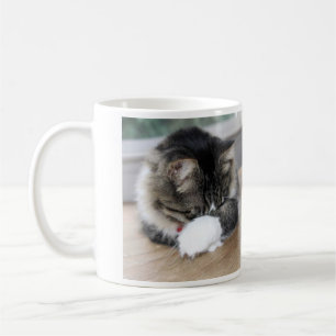 Zorro Shy Kitty Classic Mug