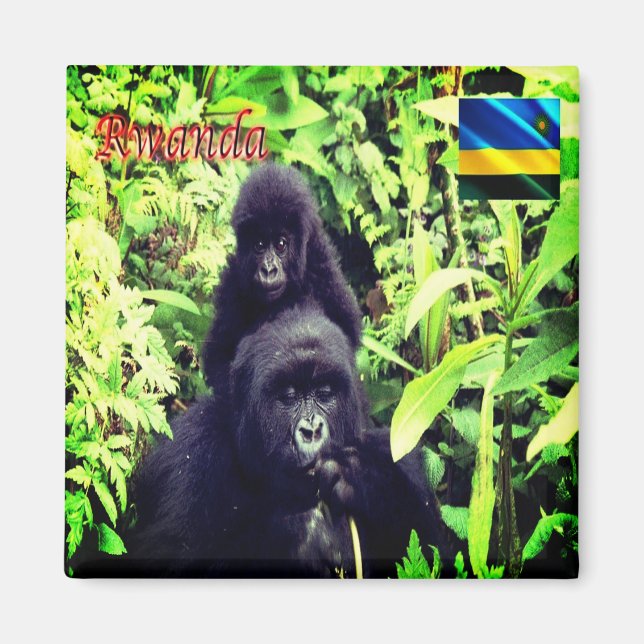 zRW003 RWANDA, Gorilla at National Park, Fridge Magnet (Front)