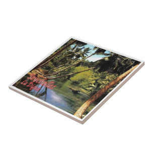 zSC005 SEYCHELLES, La Digue, Africa, Tile