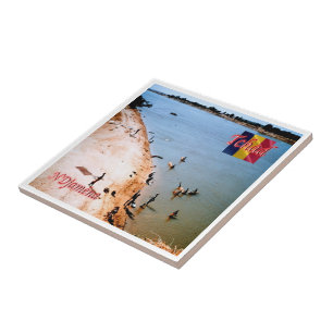 zTD005 N'DJAMENA, Coast beach Chari, Tile