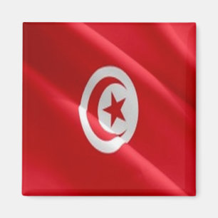 zTN002 TUNISIA, Waving Flag, Africa, Fridge Magnet