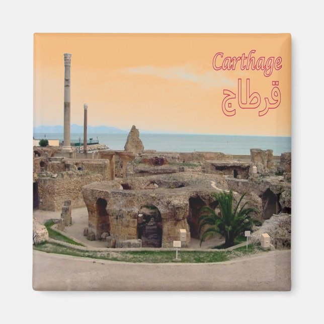 zTN005 CARTHAGE, Tunisia, Africa, Fridge Magnet (Front)
