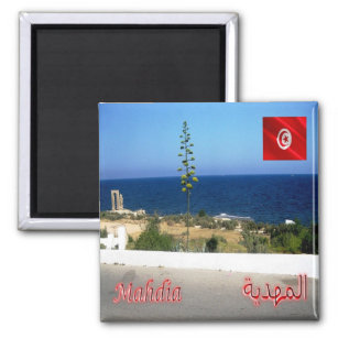 zTN011 MAHDIA, Tunisia, Africa, Fridge Magnet
