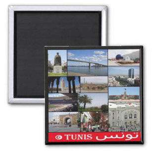 zTN020 TUNIS, Mosaic, Tunisia, Africa, Fridge Magn Magnet