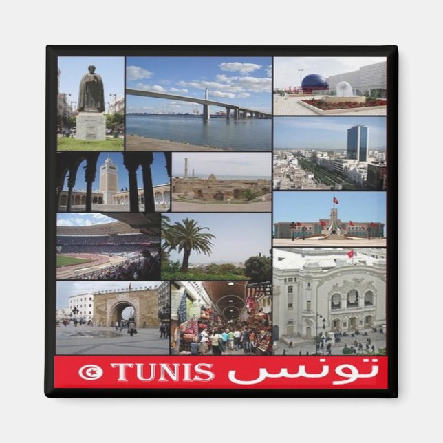 zTN020 TUNIS, Mosaic, Tunisia, Africa, Fridge Magn Magnet (Front)