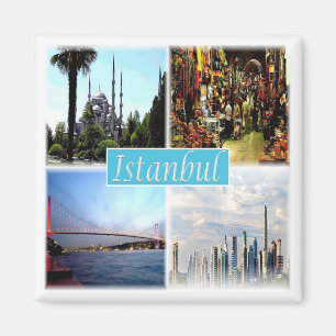 zTR006 ISTANBUL, Turkey, Europe, Fridge Magnet
