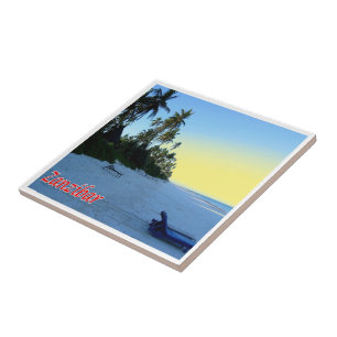 zTZ013 ZANZIBAR, East Coast beach, Tanzania, Tile