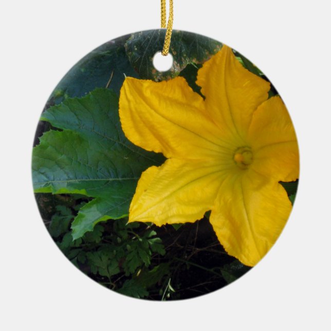 Zucchini Squash Blossom - photograph Ceramic Tree Decoration (Front)