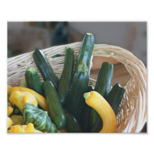 Zucchini Summer Squash Gourds Vegetables 8x10 Photo Print
