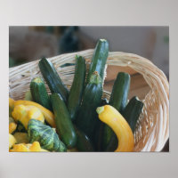 Zucchini Summer Squash Gourds Vegetables
