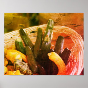 Zucchini Summer Squash Gourds Vegetables Vintage Poster