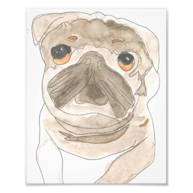 Zues Pup Print (Front)