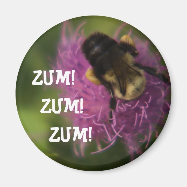 Zum Zum Zum Magnet (Front)
