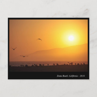 Zuma Beach, California Holiday Postcard