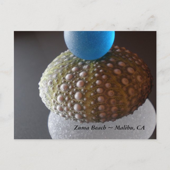 Zuma Beach Postcard (Front)