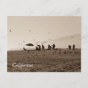 Zuma Beach Postcard