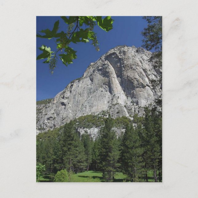 Zumwalt Meadows Cliffs Sequoia Postcard (Front)