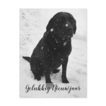 Zwart- Wit Foto Gelukkig Nieuwjaar Kerstkaart