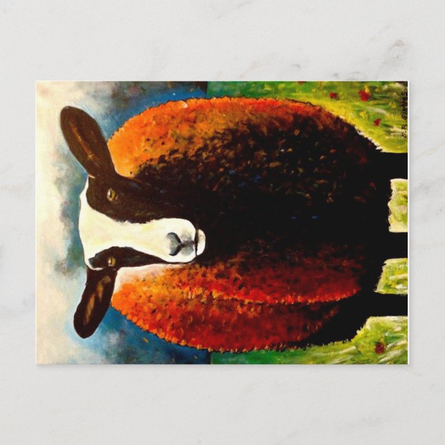 Zwartbles Postcard (Front)