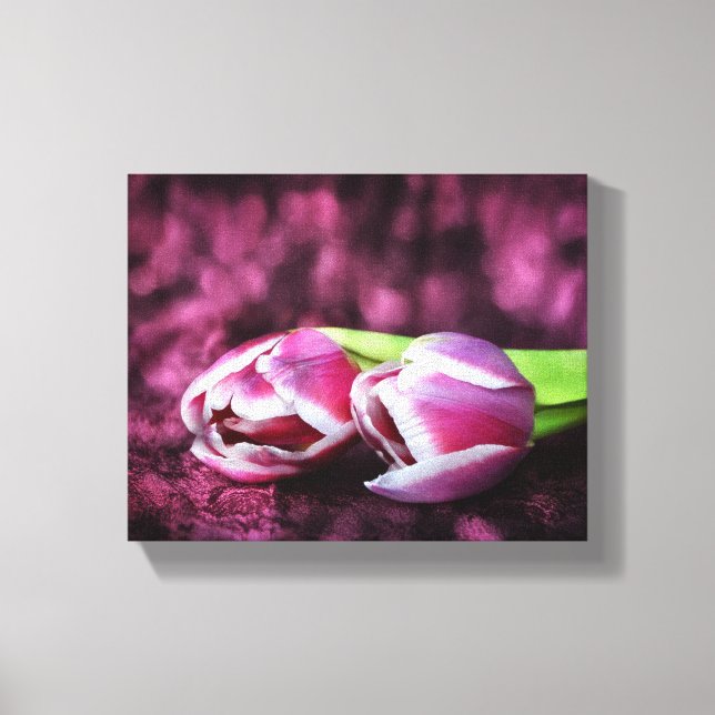 Zwei rosa Tulpen Canvas Print (Front)