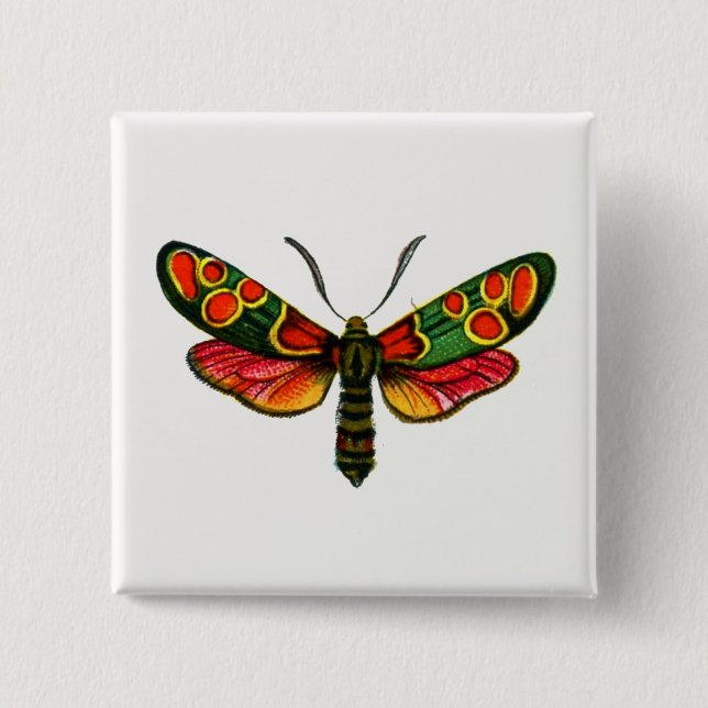 Zygaena carniolica - The Crepuscular Burnet Moth 15 Cm Square Badge (Front)