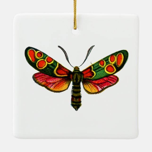 Zygaena carniolica - The Crepuscular Burnet Moth Ceramic Ornament (Back)