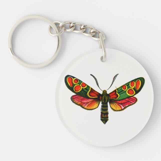 Zygaena carniolica - The Crepuscular Burnet Moth Key Ring (Front)