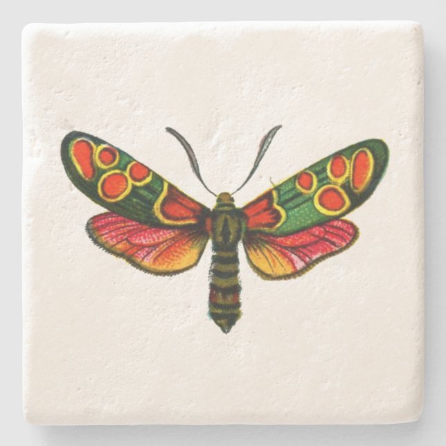 Zygaena carniolica - The Crepuscular Burnet Moth Stone Coaster (Front)