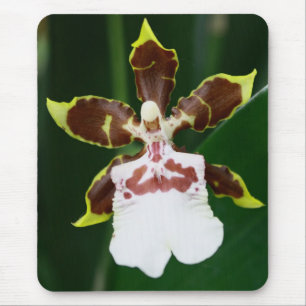 Zygopetalum Orchid Mouse Mat