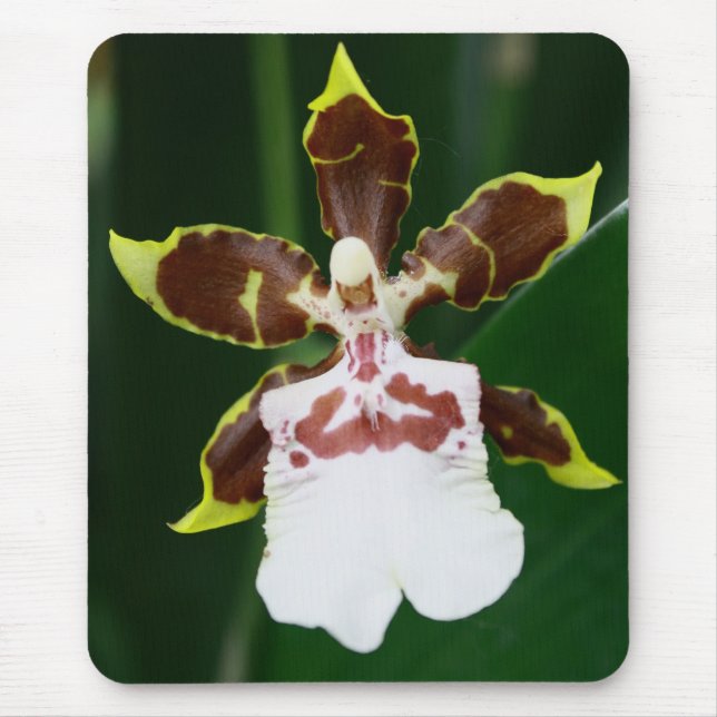 Zygopetalum Orchid Mouse Mat (Front)
