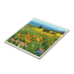 zZA024 SOUTH AFRICA, West Coast N.P WESKUS, Tile