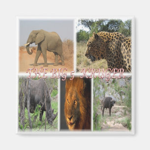 zZA027 SOUTH AFRICA, THE BIG 5 in KRUGER NP Fridge Magnet