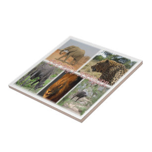 zZA035 SOUTH AFRICA Big 5 In Kruger N.P. Tile