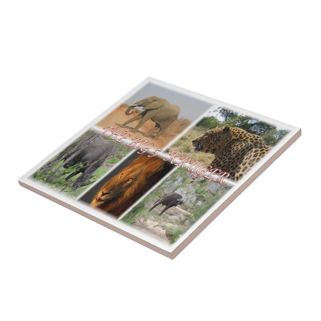 zZA035 SOUTH AFRICA Big 5 In Kruger N.P. Tile (Side)